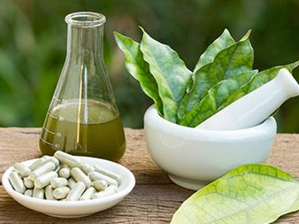 Ayurvedic Manufacturers in Indore