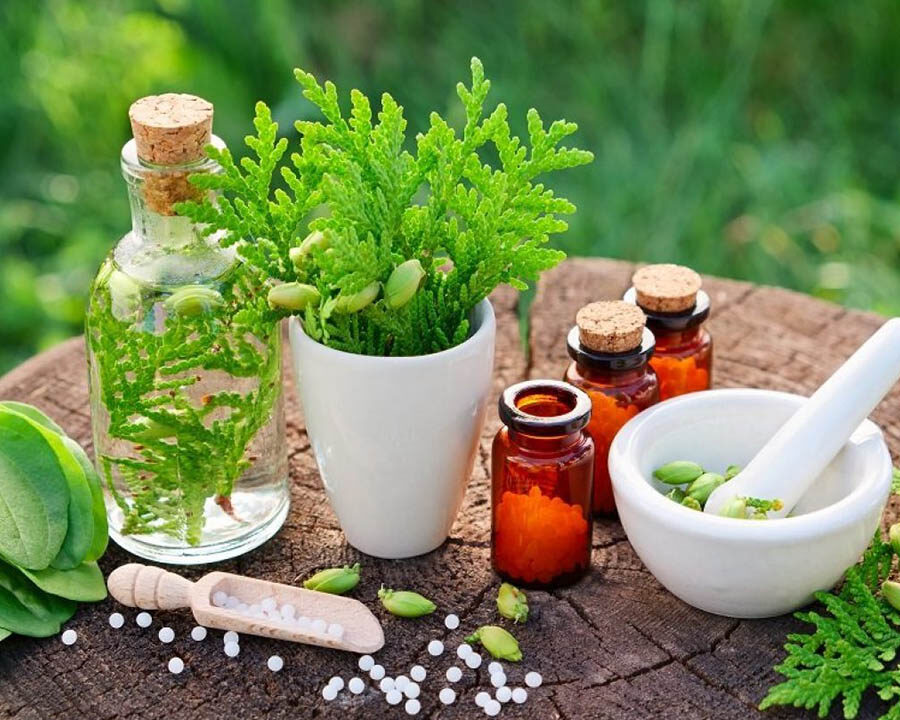 Ayurvedic Medicine Manufacturers In Mizoram