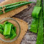 Top 10 Aloe vera Tablets In India