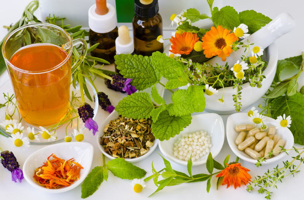 Top 10 Ayurvedic Companies in Karnataka