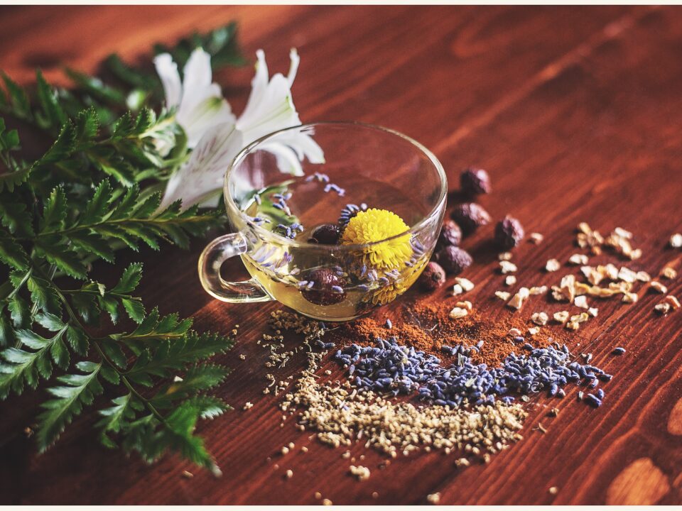 Top 10 Ayurvedic Companies in Mumbai