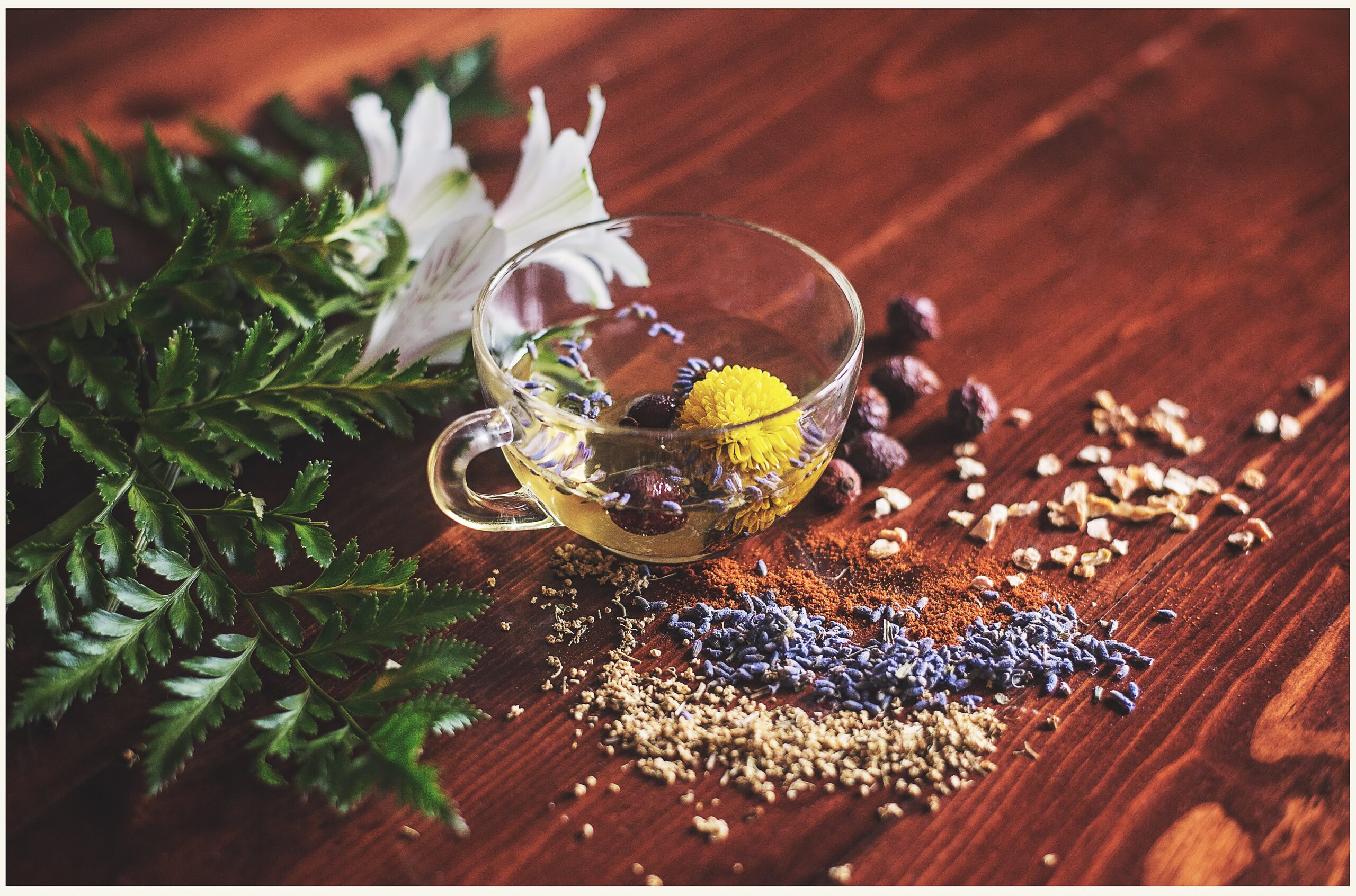 Top 10 Ayurvedic Companies in Mumbai