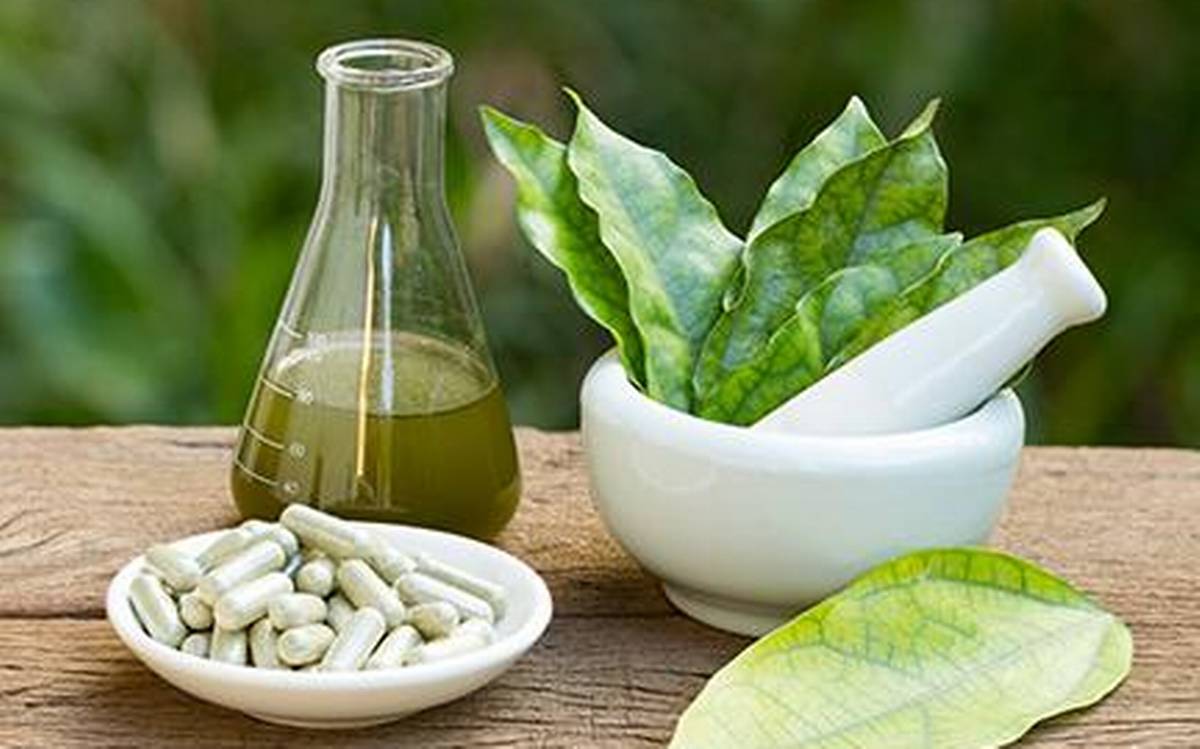 Top 10 Ayurvedic PCD Companies in Pune