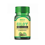 Top 10 Giloy Tablets in India