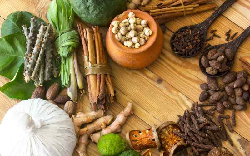 Top 10 Ayurvedic Companies in Ahmedabad