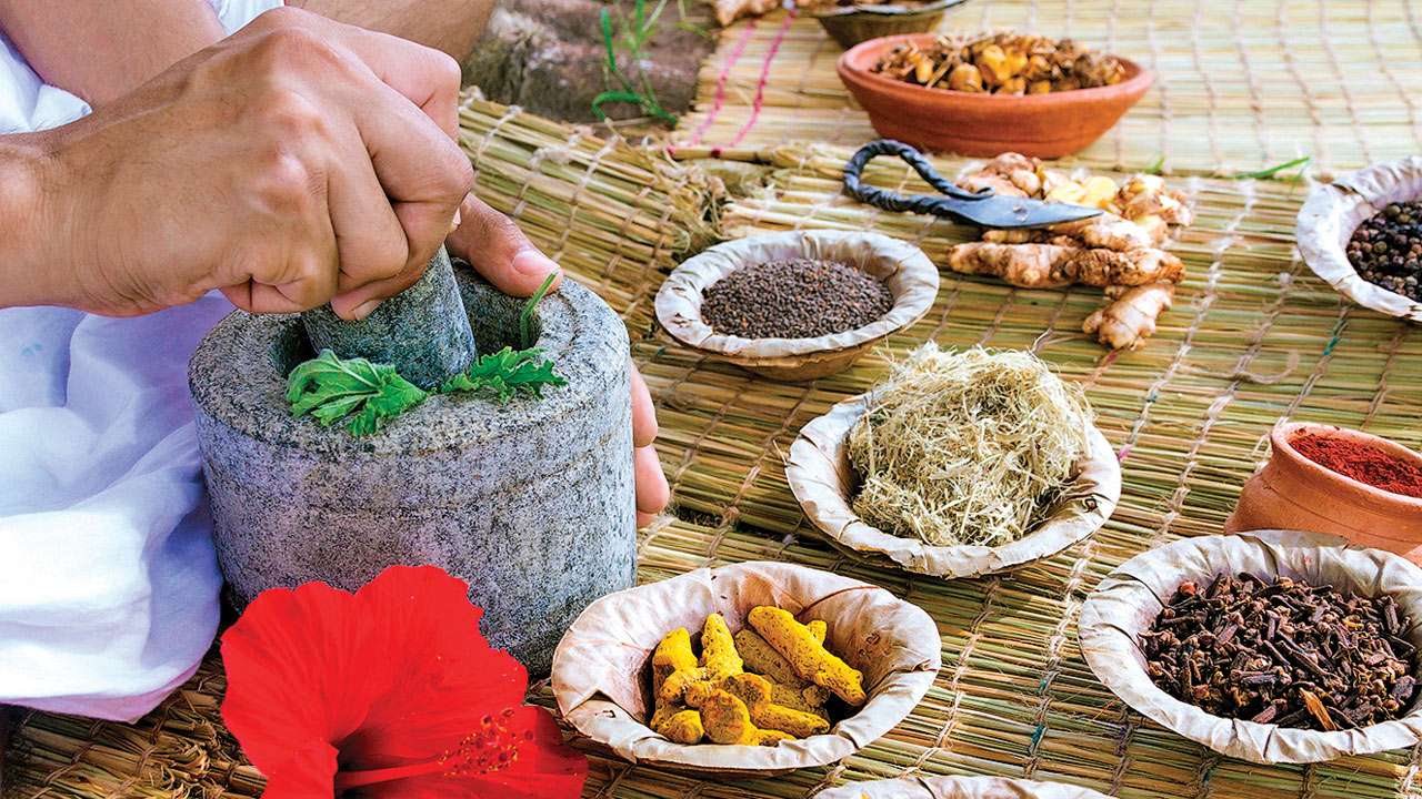 Top 10 Ayurvedic Companies in Dehradun