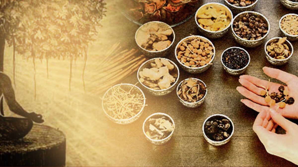 Top 10 Ayurvedic Companies in Ghaziabad