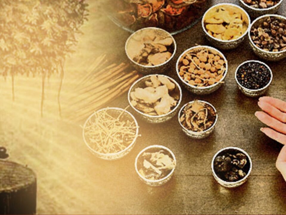 Top 10 Ayurvedic Companies in Ghaziabad