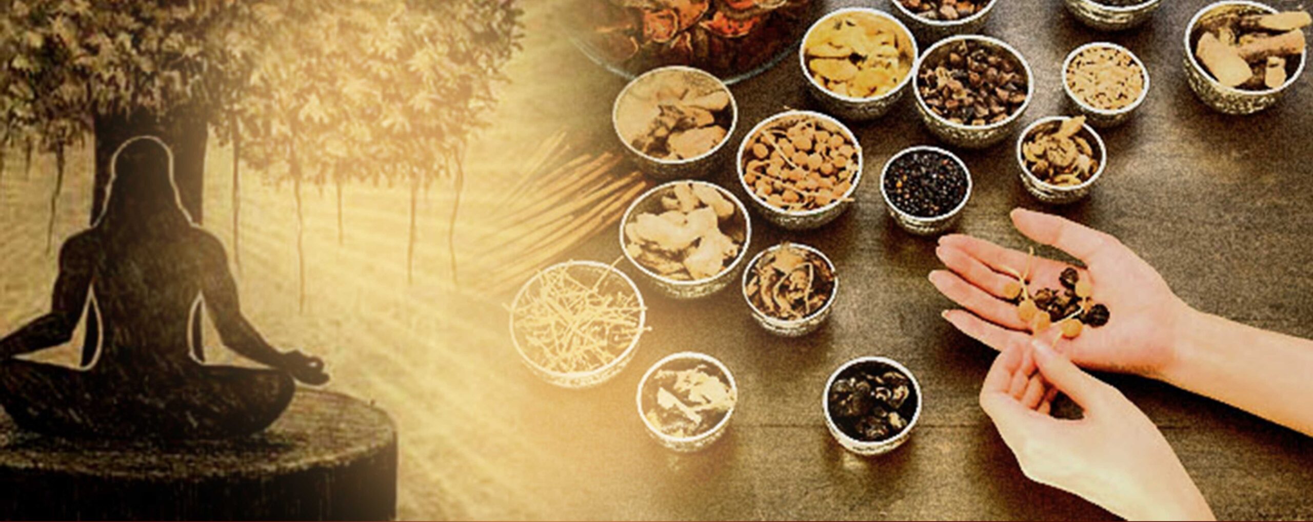 Top 10 Ayurvedic Companies in Ghaziabad